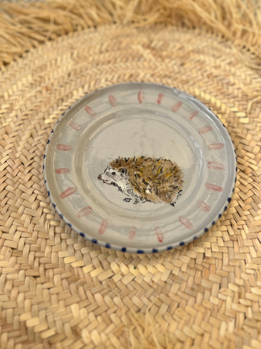 Hedgehog with pink stripes