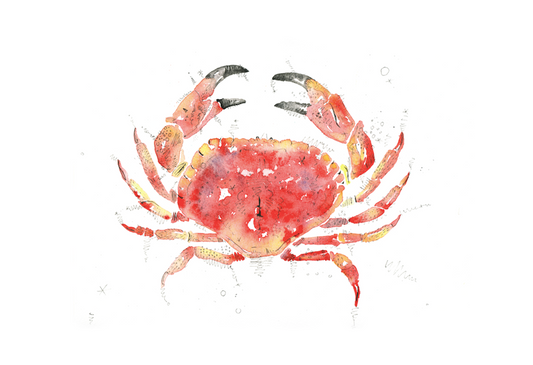 Crab print